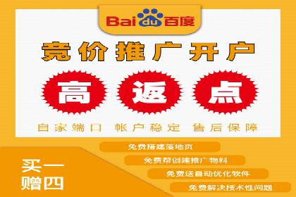百度广告投放策略：成功案例解析
